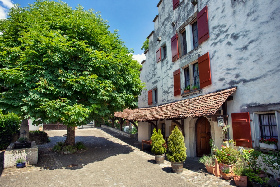 Der Hof der Mühle Otelfingen