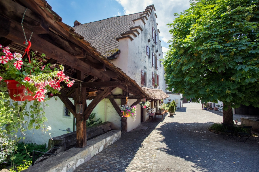 Der Hof der Mühle Otelfingen